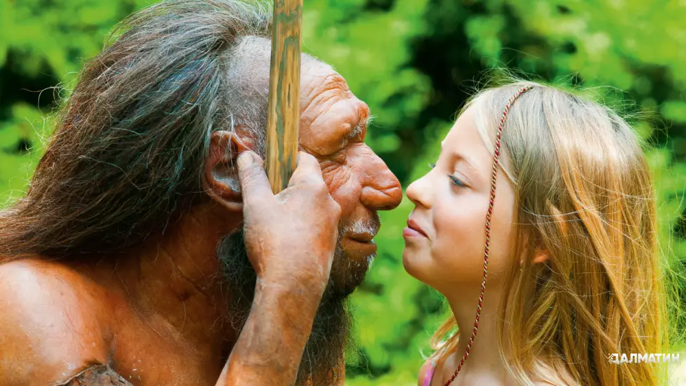 Американские ученые доказали, что любители встать пораньше находятся в родстве с неандертальцами