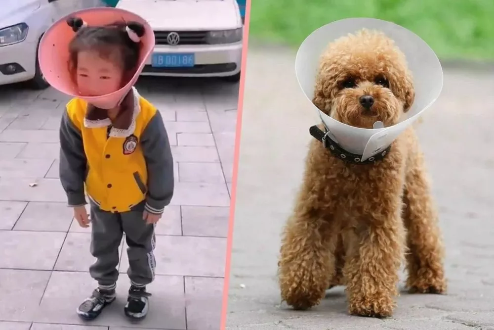 Дедушка из Китая надел на внучку ошейник-конус для собак, чтобы… отучить от телефона