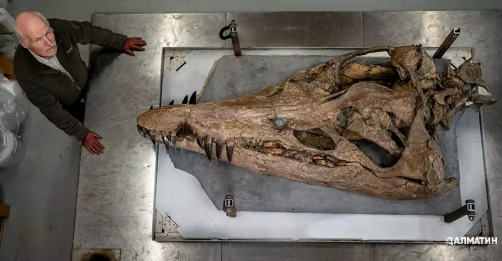 В Великобритании нашли уникальный череп морского динозавра
