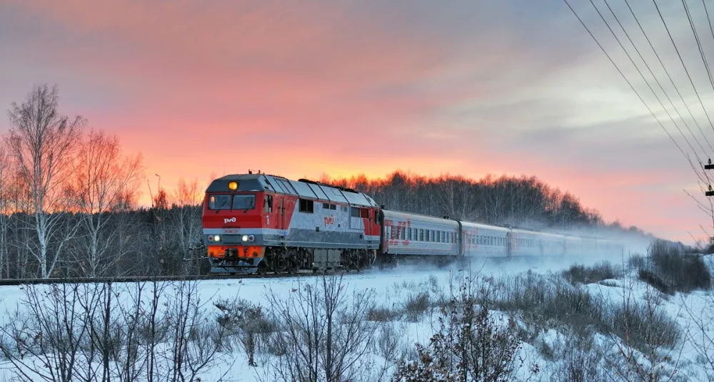 Проводница поезда Томск - Адлер высадила шестерых пассажиров за 51 километр до нужной станции в тайге