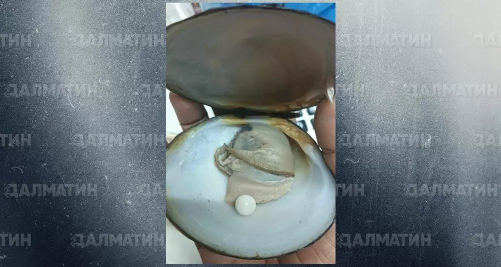 Жительница Таиланда обнаружила настоящую жемчужину в моллюске, которого хотела съесть на ужин