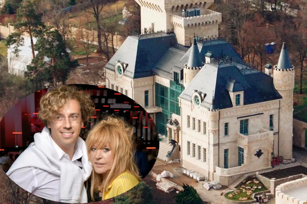 У Пугачевой и Галкина могут изъять замок в деревне Грязь по новому закону о конфискации имущества иноагентов
