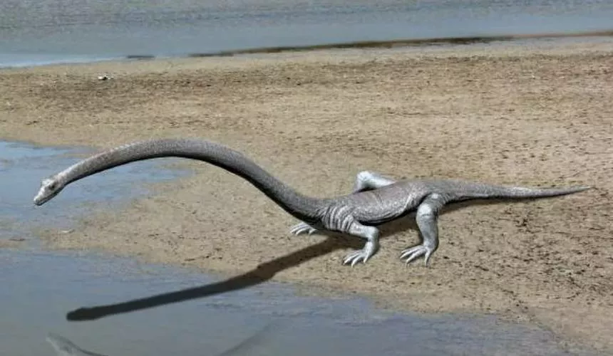 Учёным полностью удалось восстановить облик «дракона» возрастом 250 миллионов лет