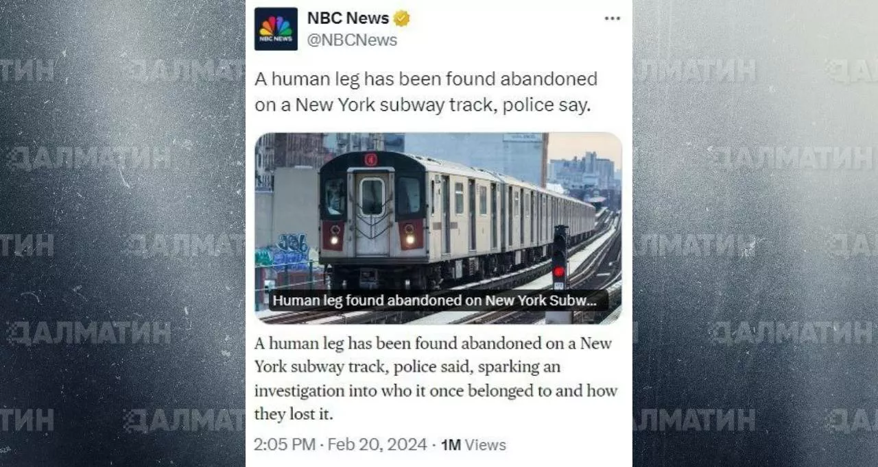 В метро Нью-Йорка на путях была найдена забытая кем-то человеческая нога