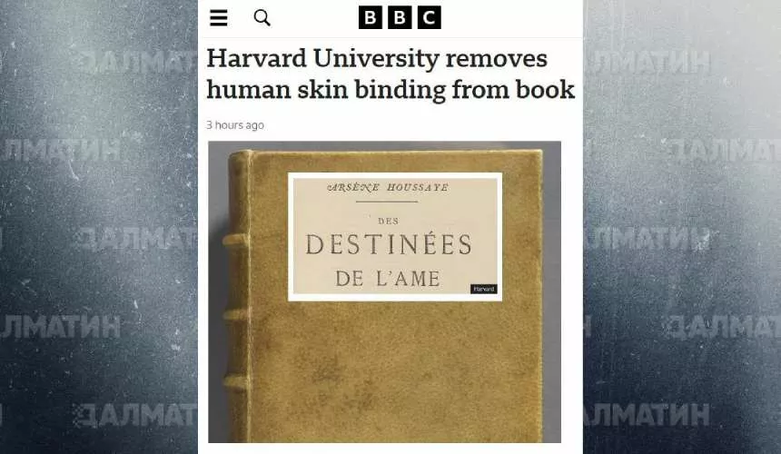 В Гарвардском университете содрали человеческую кожу с одной книги