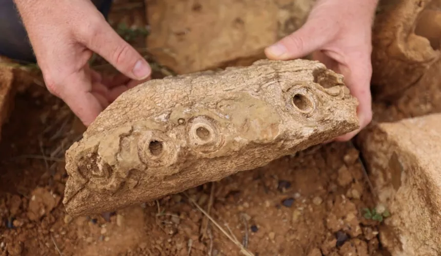Палеонтологи обнаружили древнейший ископаемый лес в мире