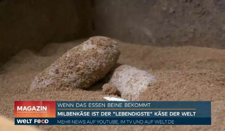 Сыр с плесенью уже не актуален - в Германии не утихают споры о сыре с клещами Milbenkäse