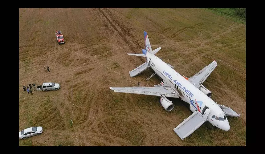 Второй пилот, посадивший самолет «Уральских авиалиний» на поле, работает грузчиком и таксистом